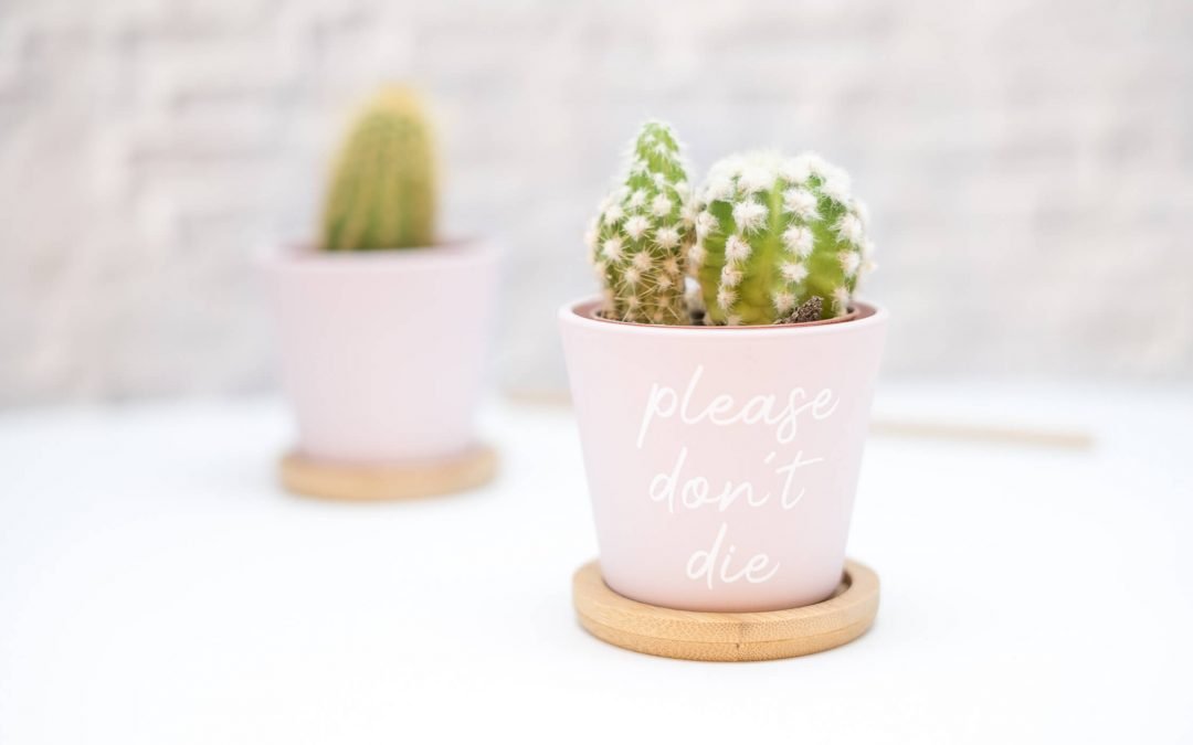 Schriften richtig plotten im Silhouette Studio