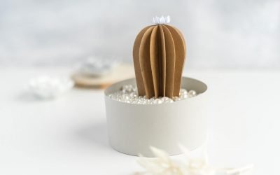 Papier Kaktus basteln – Plotten statt Züchten