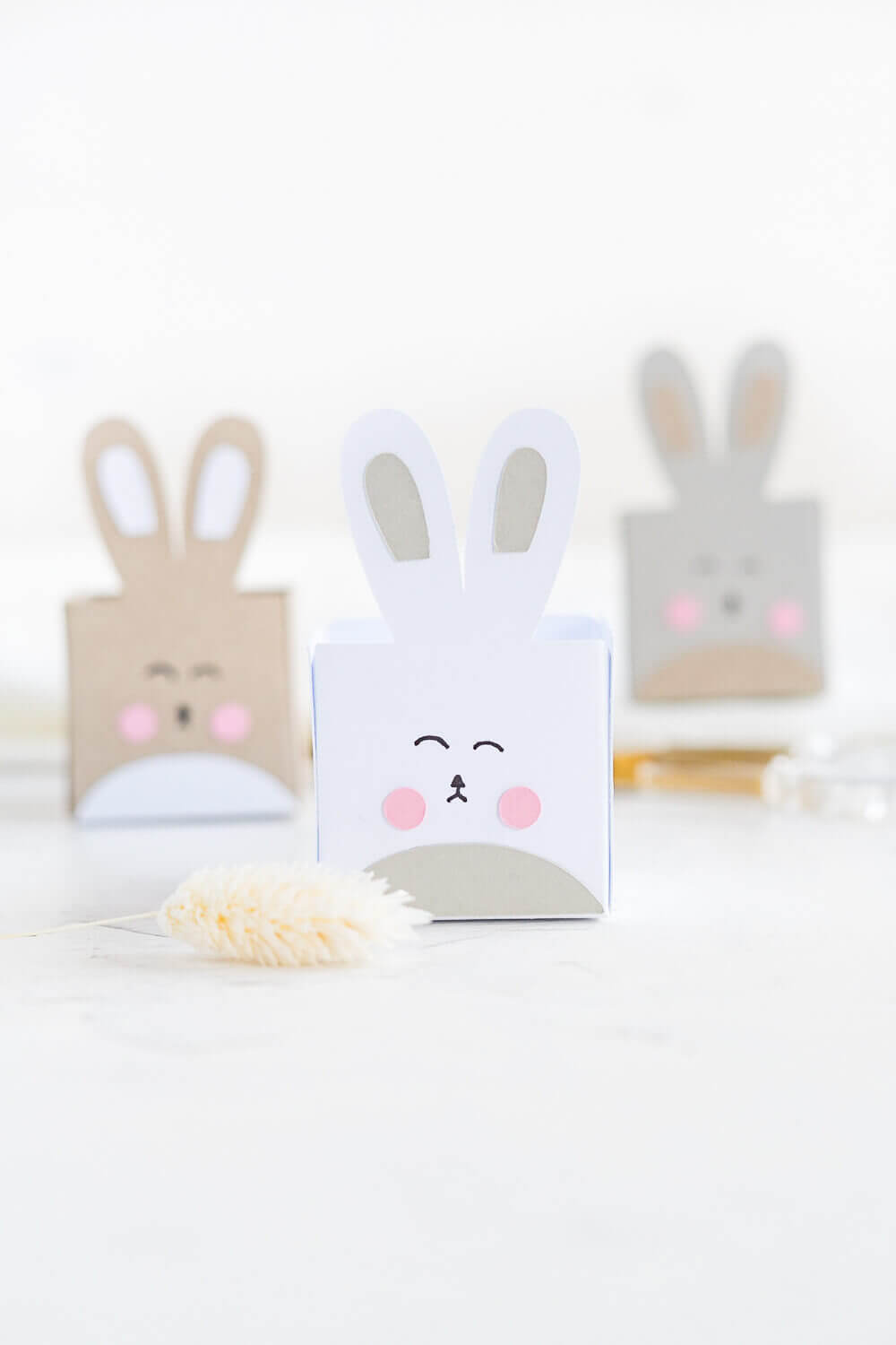 3 Varianten der kostenlosen fertigen Hasenschachtel in beige, weiß und grau inkl. Trockenblume