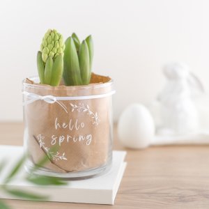 Blumenranke - Plotterdatei