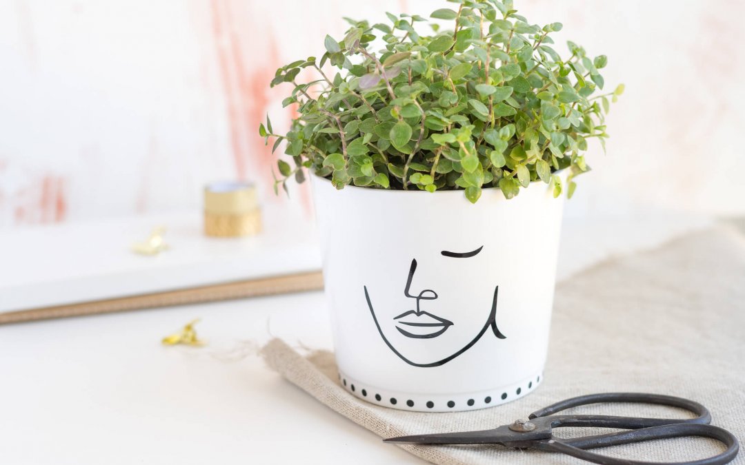 Blumentopf mit Lineart aufpeppen