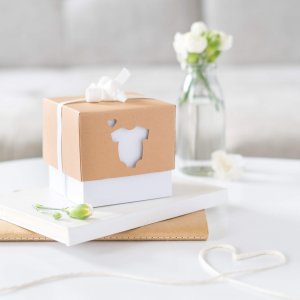 Bodyschachtel - Plotterdatei