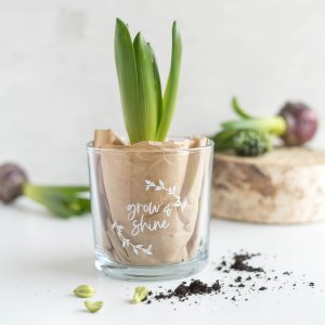 Blätterranke als Plotterdatei kaufen