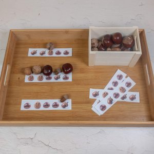 Tablettarbeiten Waldschätze ab 2 Jahre – zum Ausdrucken